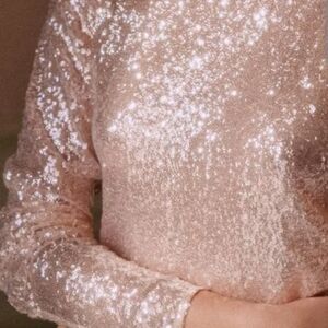 Sezane Pink Sequin Blouse